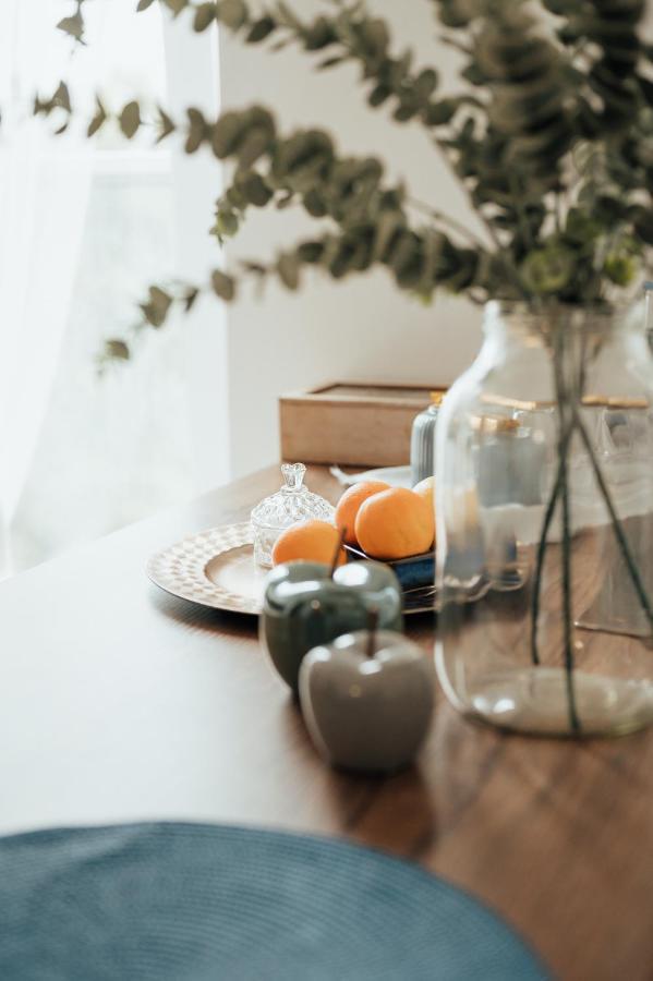 Apartment Blue_loft Sandomierz