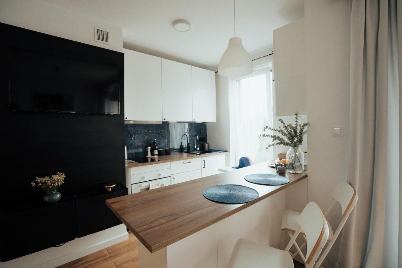 Blue_loft Apartment