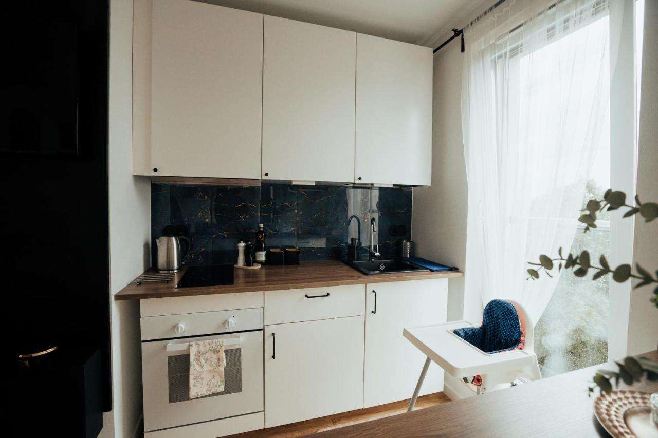 Blue_loft Apartment Sandomierz