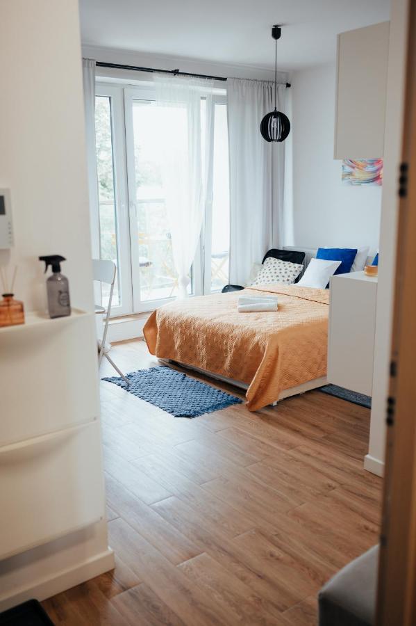 Blue_loft Apartment