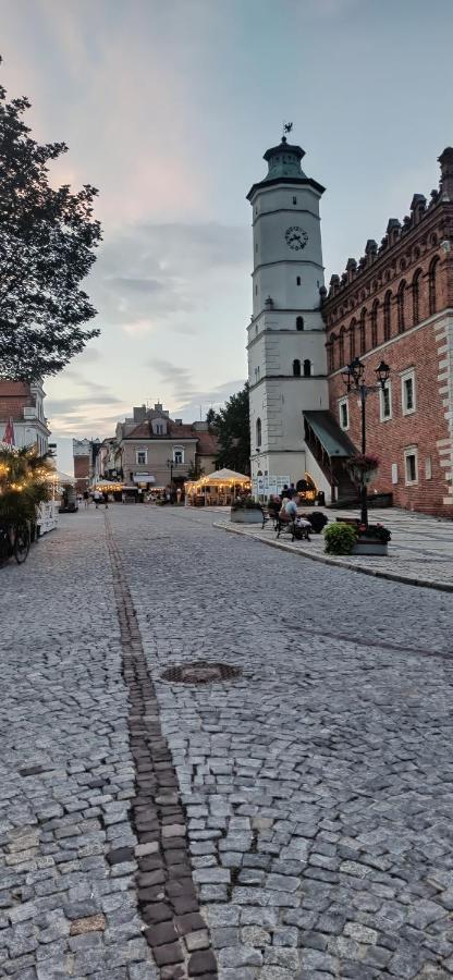 Apartment Blue_loft Sandomierz